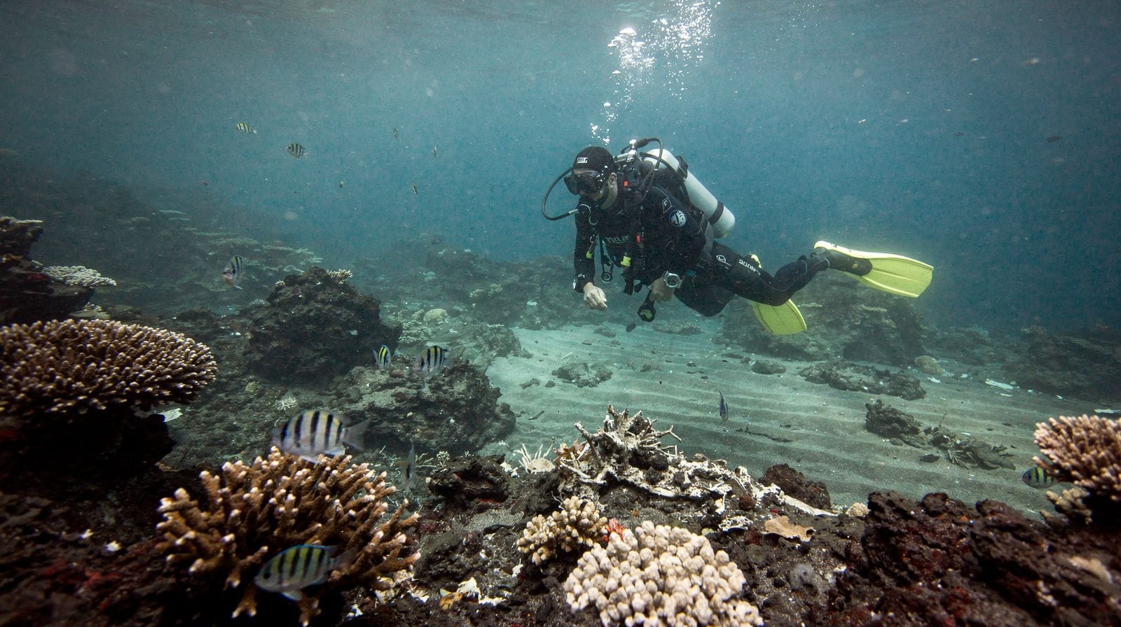 Scuba diving