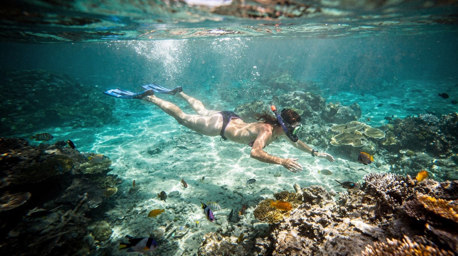 Lagoon snorkeling