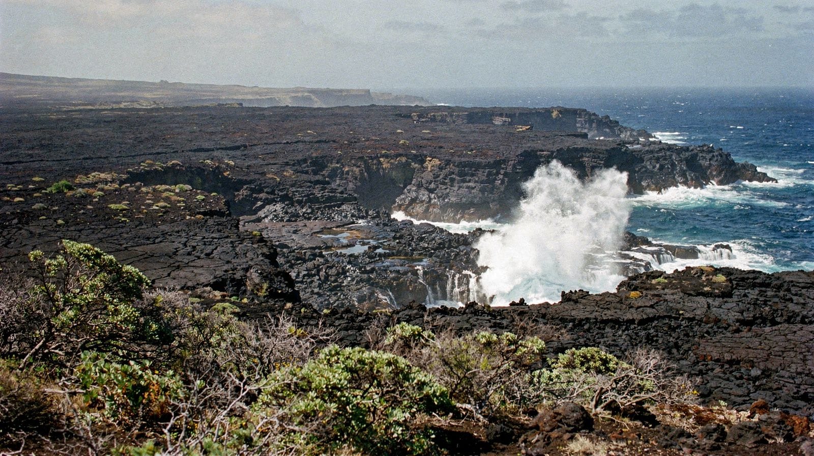 Wild South: Saint-Joseph, Saint-Philippe and the lava coast