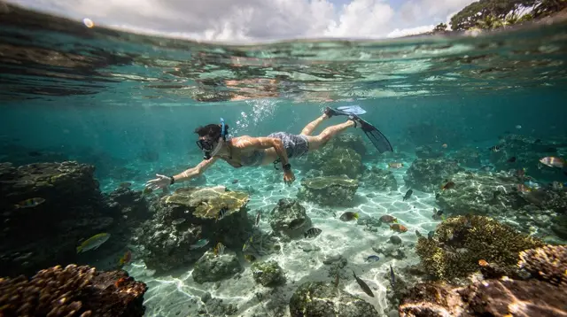 Snorkeling and kayaking in the Hermitage lagoon
