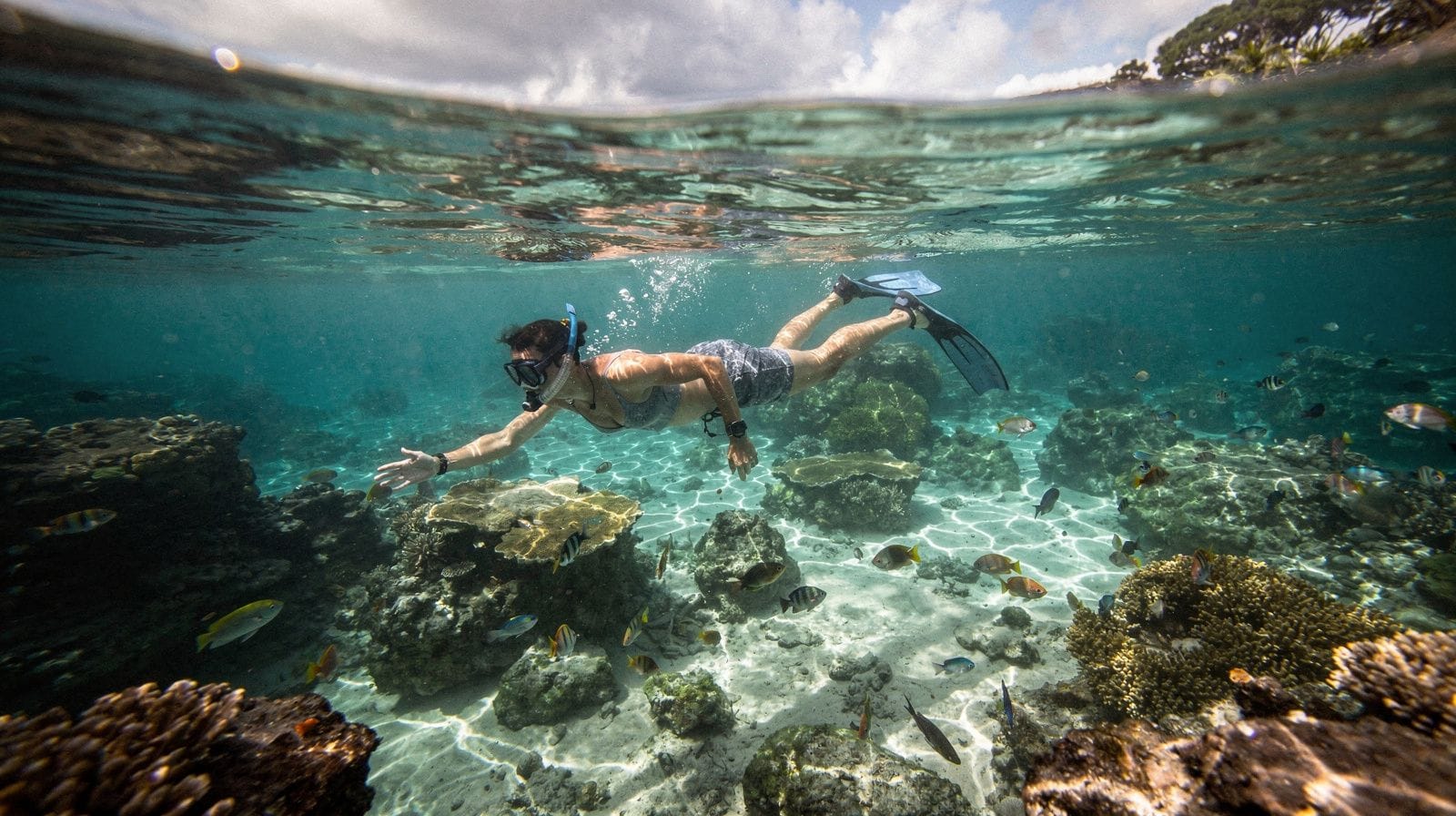Snorkeling and kayaking in the Hermitage lagoon
