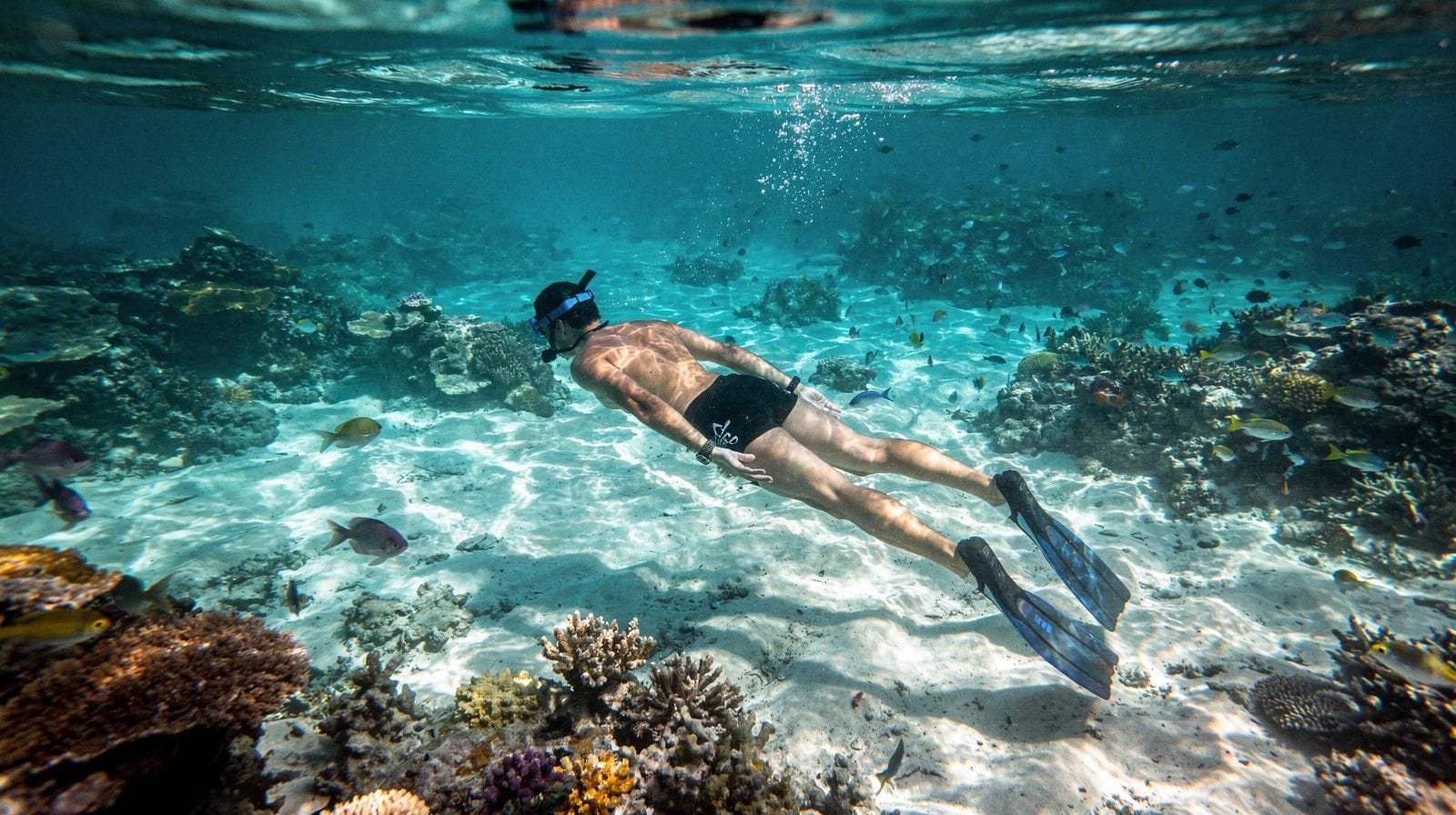 Snorkeling and surfing in Saint-Leu