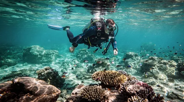 Scuba diving in Saint-Leu and L'Étang-Salé