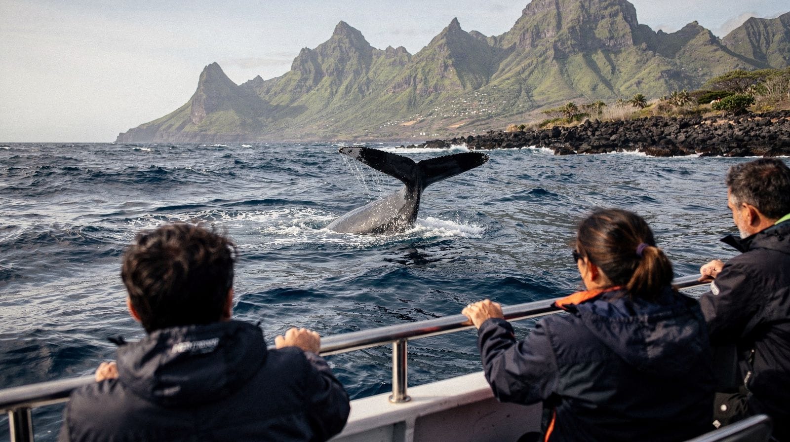 Whale season in Réunion: a 4-day easy itinerary
